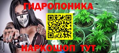 шишки Кимры