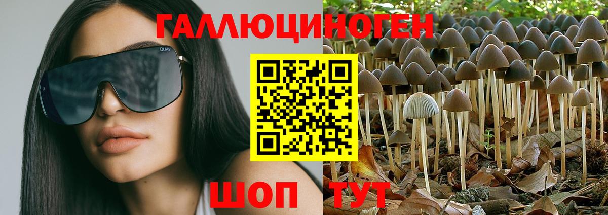 Псилоцибиновые грибы Psilocybine cubensis  Вход с VPN  Крымск 